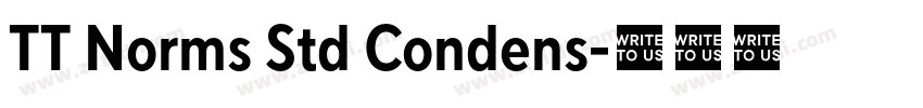 TT Norms Std Condens字体转换
